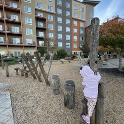 The Kartrite Resort & Indoor Waterpark - Playground near firepits