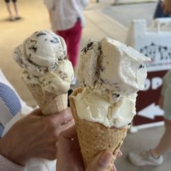 Moo Thru Lake Anna - Holstein and Moundz double waffle cone