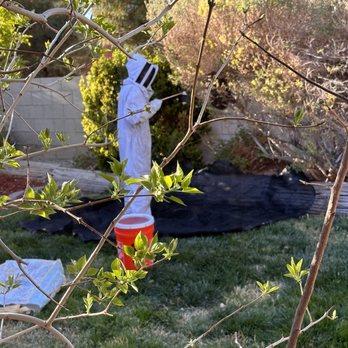 Vegas Bees - Pest Control Near Me Vegas Bees - Pest Control Near Me
