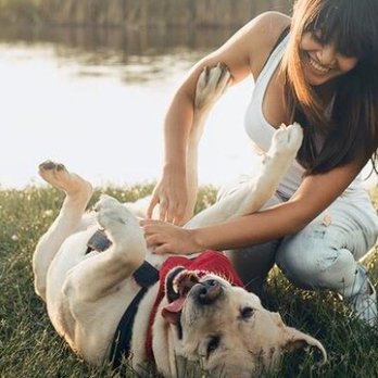 ThePampered.Pet - Give your pup a belly rub today! - Dog Walkers Near Me ThePampered.Pet - Give your pup a belly rub today! - Dog Walkers Near Me