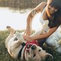ThePampered.Pet