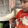 Photo of The Perfect Parrot