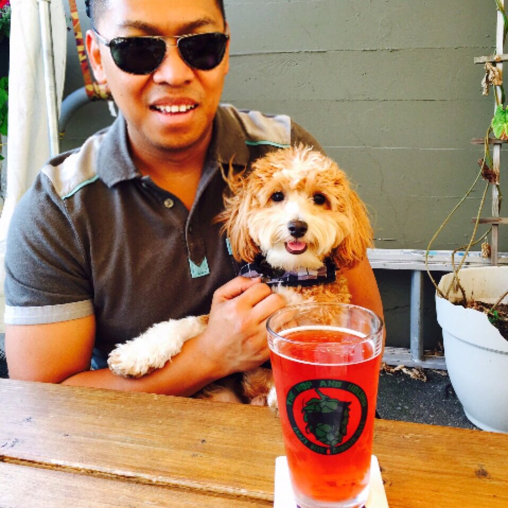 The Hop and Hound - Dog friendly. Renly enjoying the scene. - Beer Gardens Near Me - Bothell, Washington The Hop and Hound - Dog friendly. Renly enjoying the scene. - Beer Gardens Near Me - Bothell, Washington