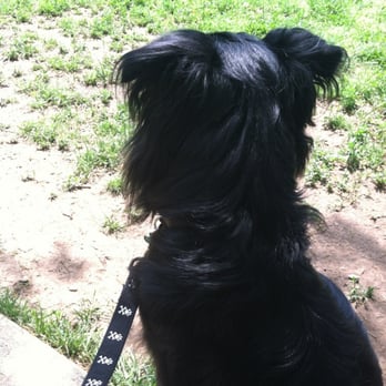 Newport Dog Park - Dog Parks Near Me - Newport, Kentucky Newport Dog Park - Dog Parks Near Me - Newport, Kentucky
