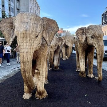 The Great Elephant Migration - Public Art Near Me - New York, New York The Great Elephant Migration - Public Art Near Me - New York, New York
