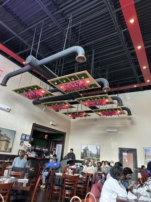 Rupa Vira's The Signature - Finest Indian Cuisine by null