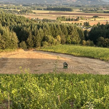Roshni Vineyard - Wineries Near Me - McMinnville, Oregon Roshni Vineyard - Wineries Near Me - McMinnville, Oregon