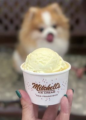 Mitchell's Ice Cream by null