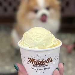 Mitchells Ice Cream on Yelp