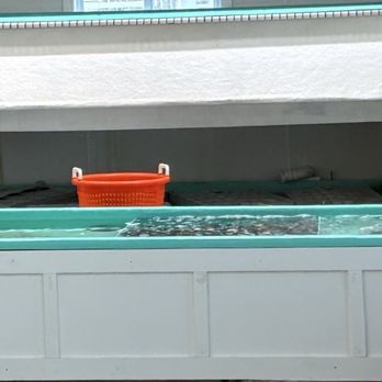 Wells Beach Lobster Pound - Lobster tank - Seafood Near Me - Wells, Maine Wells Beach Lobster Pound - Lobster tank - Seafood Near Me - Wells, Maine