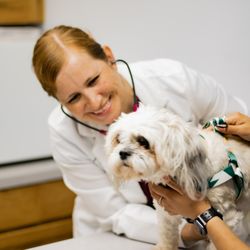 Conover Veterinary Hospital