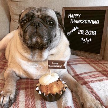 Nothing Bundt Cakes - Happy Thanksgiving 2019!!! - Desserts Near Me - Brea, California Nothing Bundt Cakes - Happy Thanksgiving 2019!!! - Desserts Near Me - Brea, California