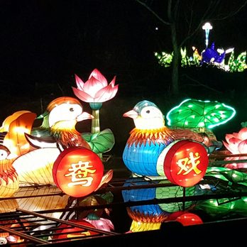Chinese Lantern Festival - Festivals Near Me - Vienna, Virginia Chinese Lantern Festival - Festivals Near Me - Vienna, Virginia
