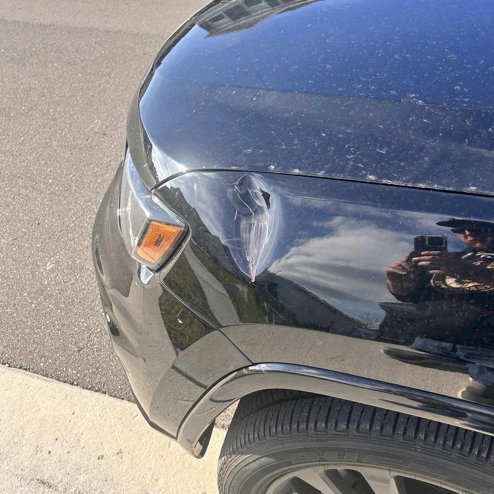 Accu Colours - Left fender dent from basketball hoop - Body Shops Near Me - Sarasota, Florida Accu Colours - Left fender dent from basketball hoop - Body Shops Near Me - Sarasota, Florida