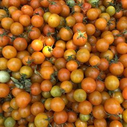 Sunnyvale Farmers' Market