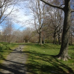 Graham's Grove