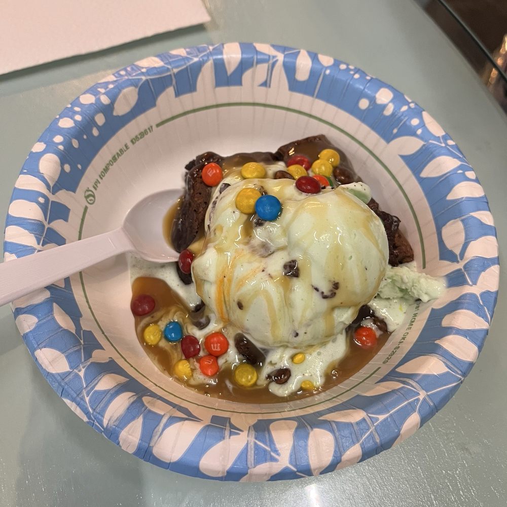 Delectable Delights - Brownie turtle sundae - Toy Stores Near Me - Winter Haven, Florida