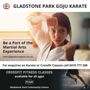 Photo of International Goju Karate