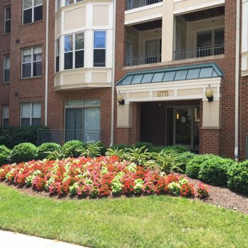Poole Landscaping - Beautiful Annuals - Landscaping Near Me - Frederick, Maryland Poole Landscaping - Beautiful Annuals - Landscaping Near Me - Frederick, Maryland