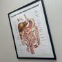 Photo of David Leff, DO -  Central Arizona Medical Associates