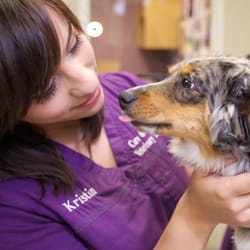 Care Comfort Veterinary Hospital Giftly Beautiful Gift Card