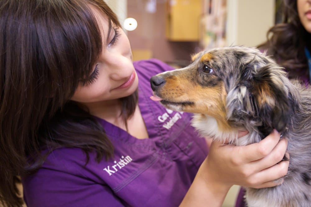 Care & Comfort Veterinary Hospital - pet boarding facility in El Cajon, CA