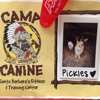 Camp Canine - Report card!!! - Pet Groomers Near Me - Santa Barbara, California