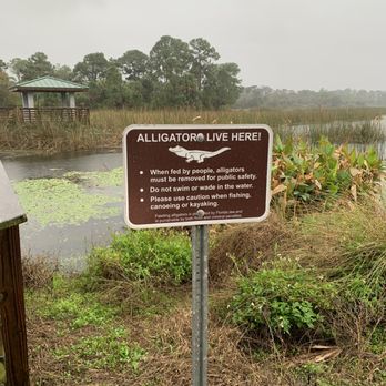 Dyer Park - Beware . lol Didn't see any gators . - Parks Near Me - West Palm Beach, Florida Dyer Park - Beware . lol Didn't see any gators . - Parks Near Me - West Palm Beach, Florida