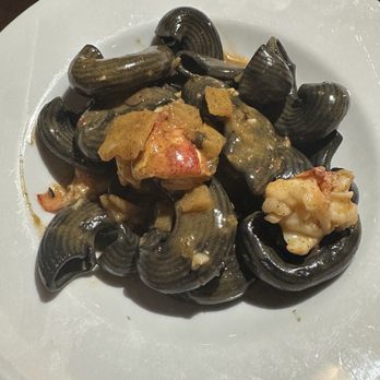 Union - Squid Ink Garganelli - Italian Near Me - Pasadena, California