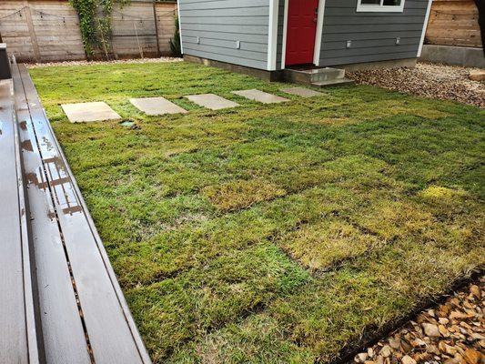 Sod Installation - We handle everything from sod installation to irrigation. Sod Installation - We handle everything from sod installation to irrigation.