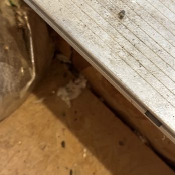 Aptive Pest Control - Rodent problem Aptive denies - Pest Control Near Me - Plano, Texas Aptive Pest Control - Rodent problem Aptive denies - Pest Control Near Me - Plano, Texas