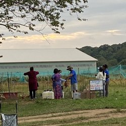 Garden of Eve Organic Farm - Workers tie wrapping the legs of a chicken.