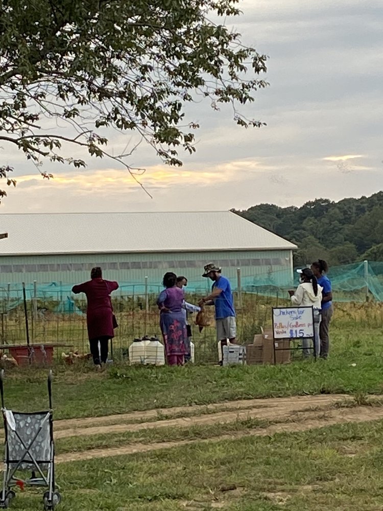 GARDEN OF EVE ORGANIC FARM Updated September 2024 145 Photos & 70