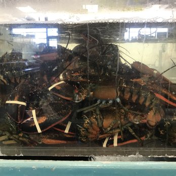 Tri Ocean - Seafood Markets Near Me - Denver, Colorado Tri Ocean - Seafood Markets Near Me - Denver, Colorado