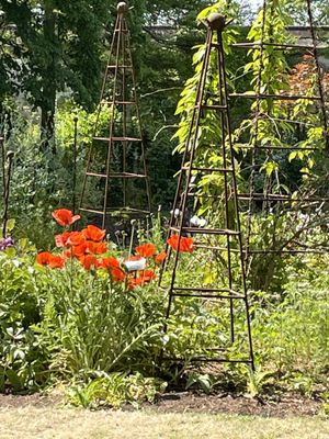 Oxford Botanic Garden by null
