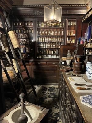 New Orleans Pharmacy Museum by null