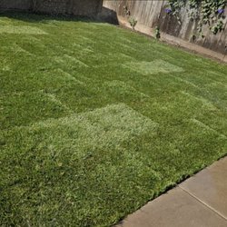 Fredy Hernandez Landscaping