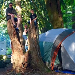 Campsite 8