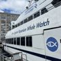Photo of New England Aquarium Whale Watch