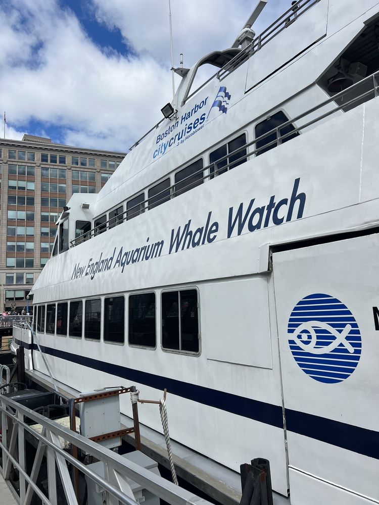 New England Aquarium Whale Watch