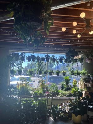 The Living Room by null