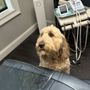 Photo of Alpharetta Endodontics
