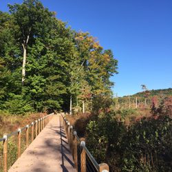 Stewart State Forest