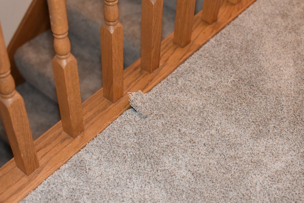 CARPET STUDIO FLOORING AMERICA Updated September 2024 21 Photos