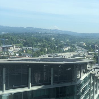 Elements Apartments - Great views from the apartment. - Apartments Near Me - Bellevue, Washington Elements Apartments - Great views from the apartment. - Apartments Near Me - Bellevue, Washington