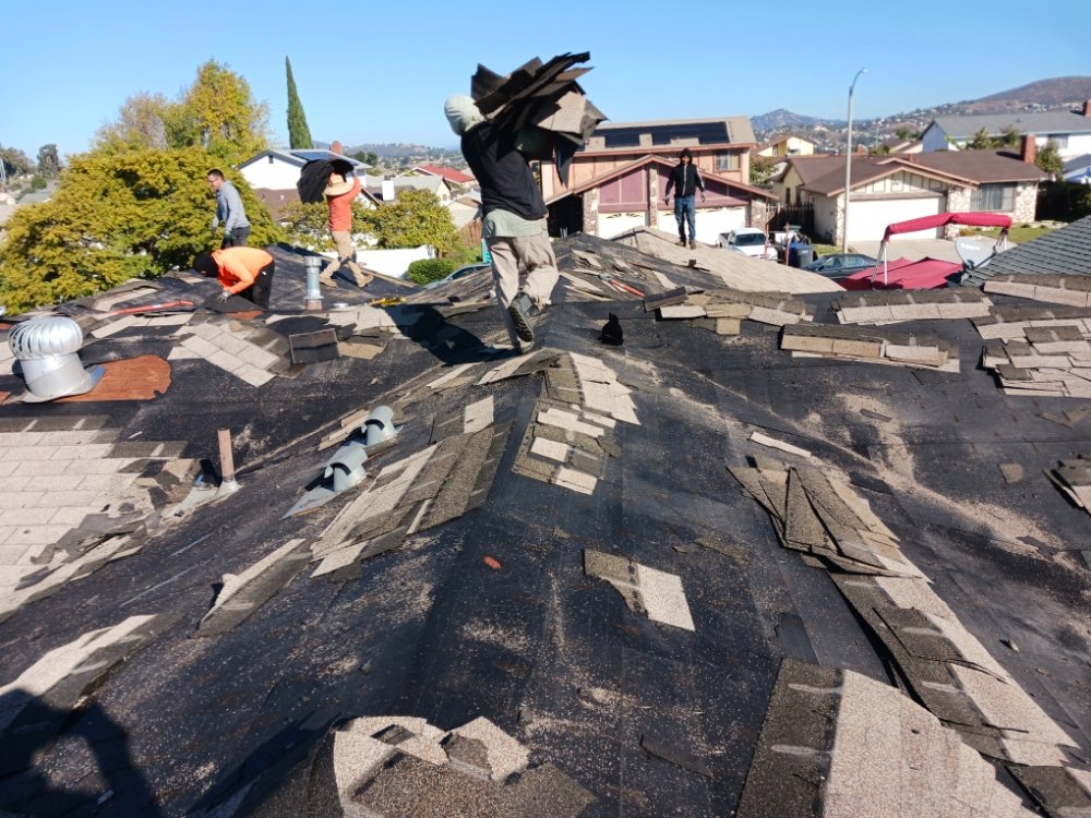 Slide of Cesar Arenas 