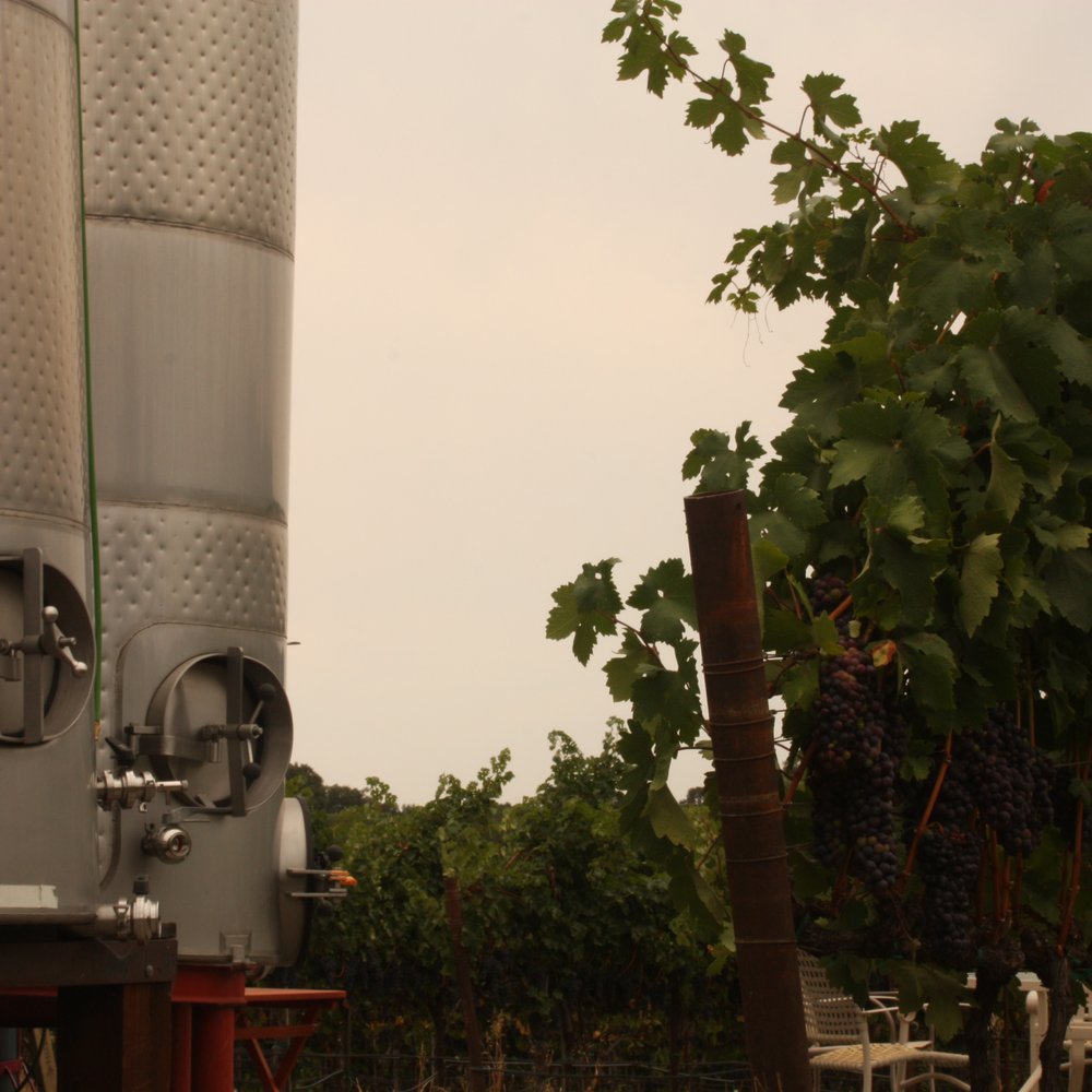 Viszlay Vineyards - Wineries Near Me - Healdsburg, California
