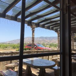 Vinos Fuentes & Restaurante Sarmiento's - The vineyards as viewed from the window next to our table. Notice the mountain in the background.