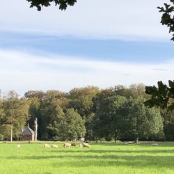 Landgoed Elswout