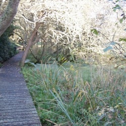 Espace naturel protégé : les marais du Quellen - Les marais du Quellen à Trébeurden - Photo (c) Stereden